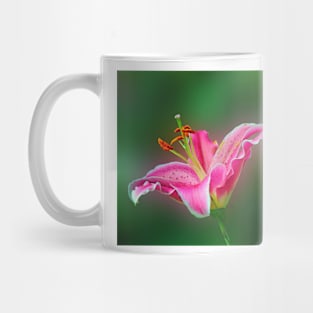 Tiger lily Mug